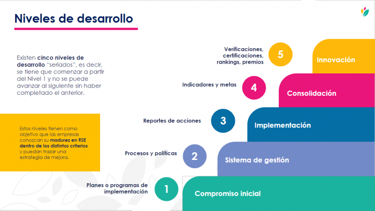 Nuevas Estrategias Para Una Postulaci N Exitosa Al Distintivo Esr